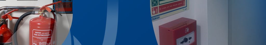 Trainee Program